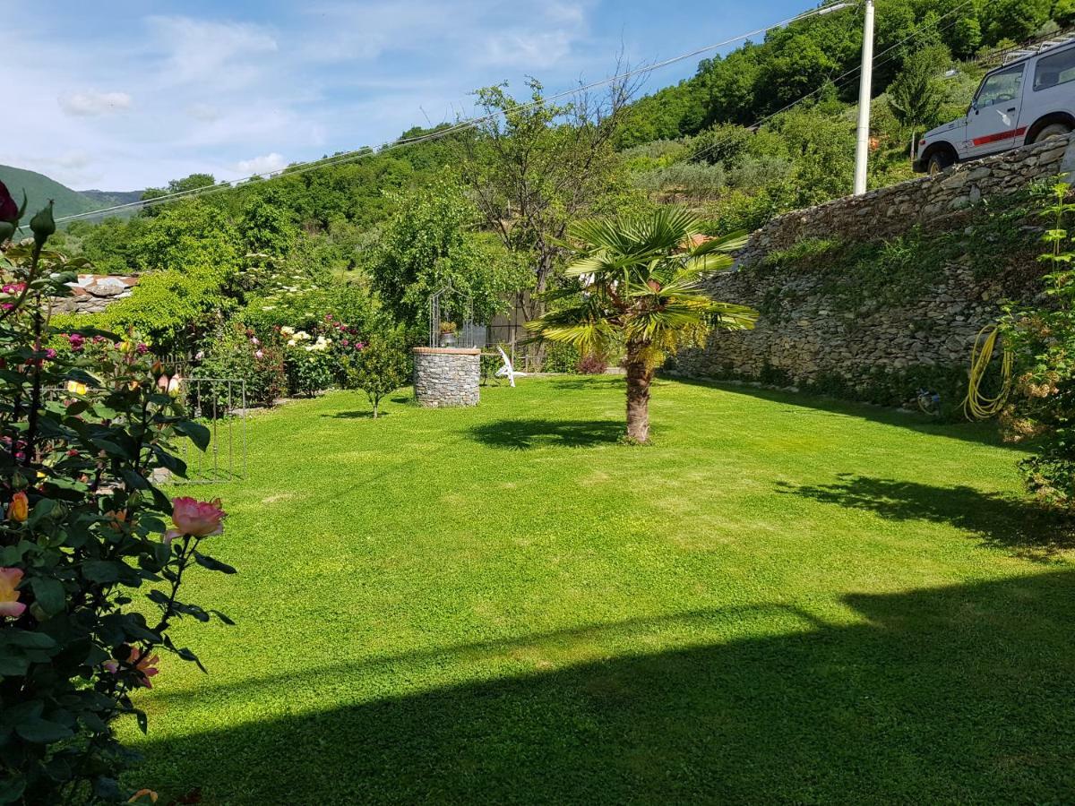 Green House Pieve di Teco Exterior photo